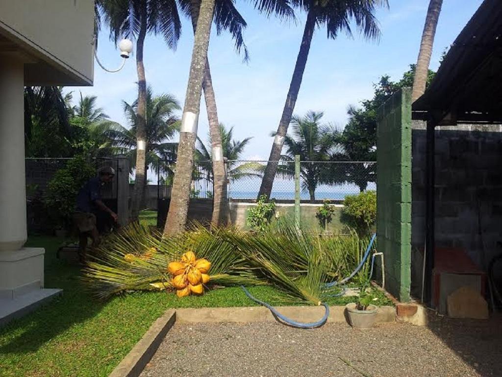 Janishi Residencies Hotel Negombo Buitenkant foto